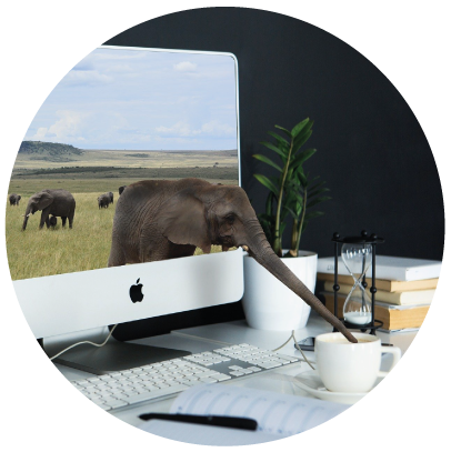 Kalyane-Consulting-Formation-PAO-Web